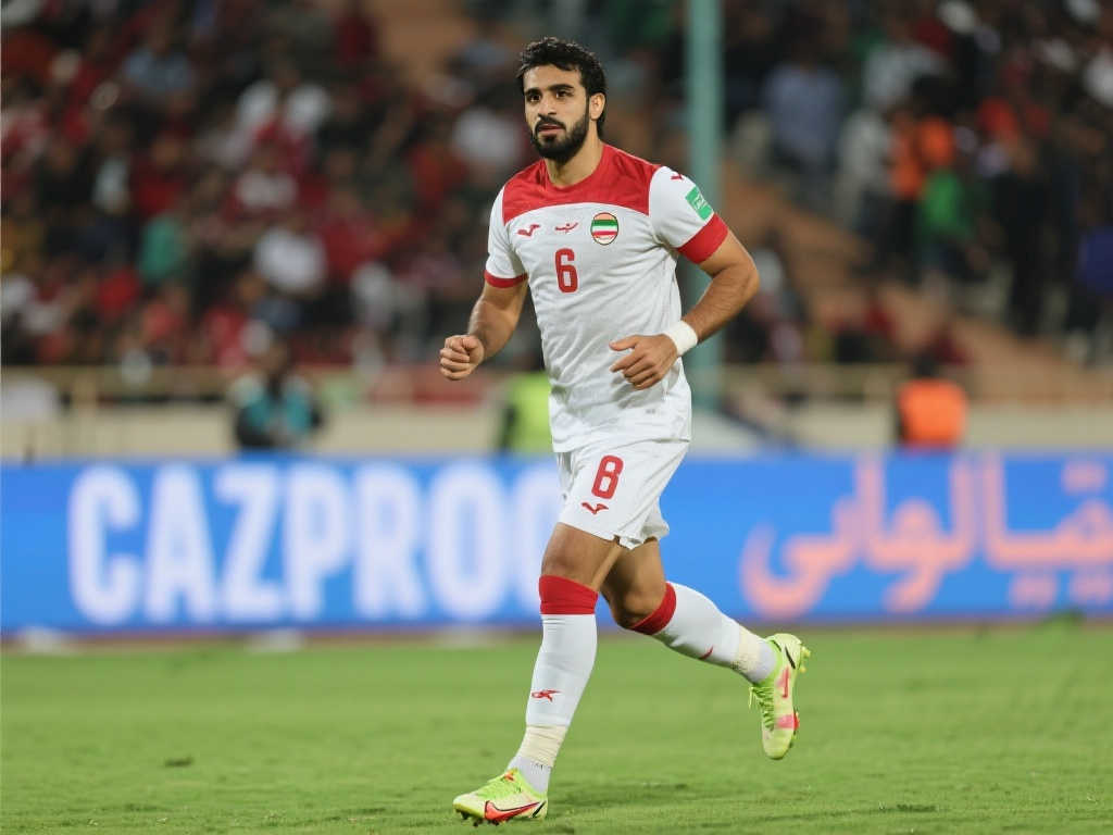 展现了他的 展现了他的